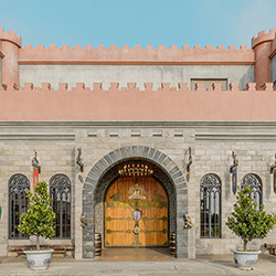 台灣優格餅乾學院